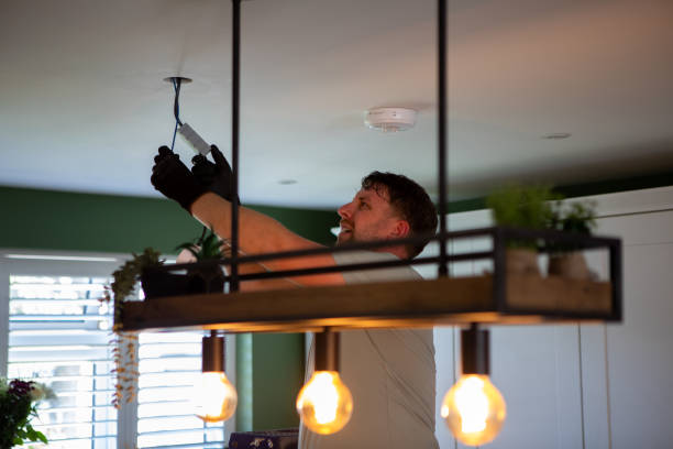 Best Electric Panel Repair  in Horizon West, FL